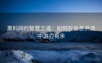 黑料网的智慧之道：如何在信息洪流中游刃有余