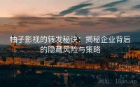 柚子影视的转发秘诀：揭秘企业背后的隐藏风险与策略