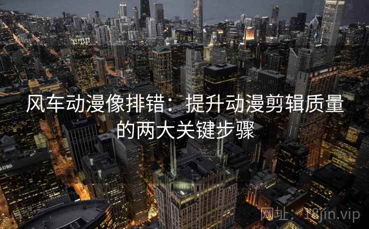 风车动漫像排错：提升动漫剪辑质量的两大关键步骤
